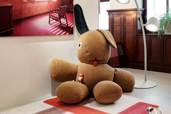 Co9 Xs Teddy