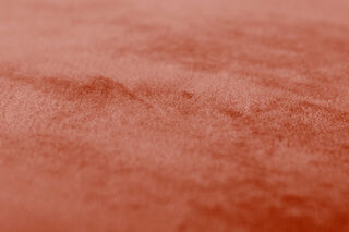 Point Velvet Rhubarb