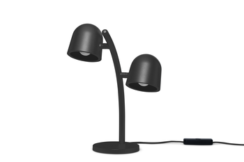 Little Lebow Anthracite